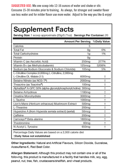 Granite Supplements | GX Pre-Workout Granite Supplements $49.95